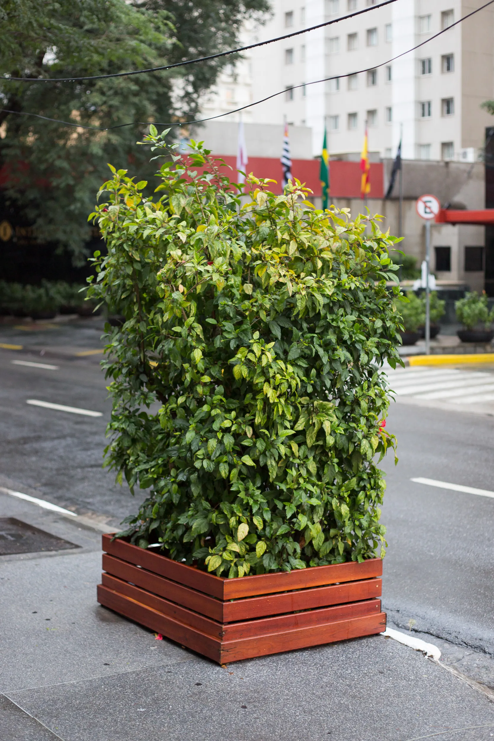 Tropeço, plate 20 — street photograph by Mario Lalau